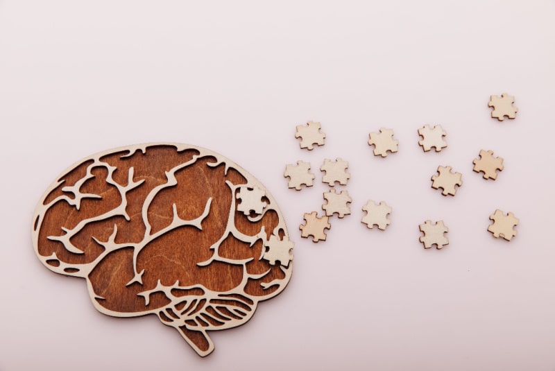 Wooden model of human brain with wooden puzzle pieces lying on it and beside it