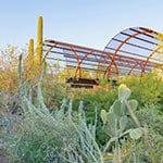View of garden at Desert Botanical Garden in Phoenix, AZ