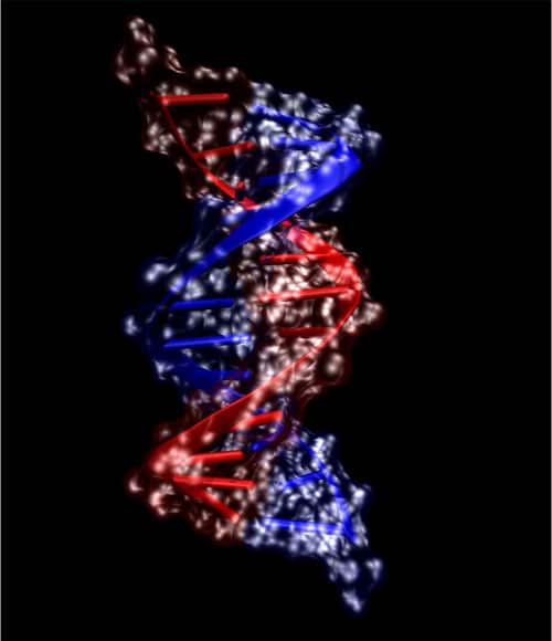 Model of a DNA strand on black background