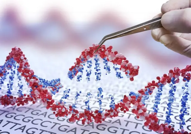 Model of a DNA strand being manipulated with pincers