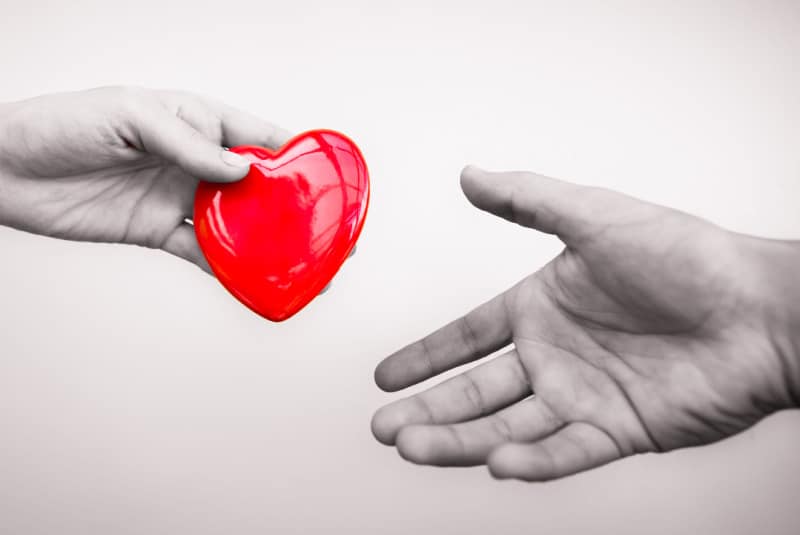 Female hand holding red model of human heart extending it to male hand