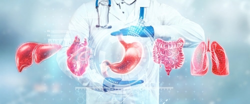 Illustration of human internal organs floating in a row in front of a doctor