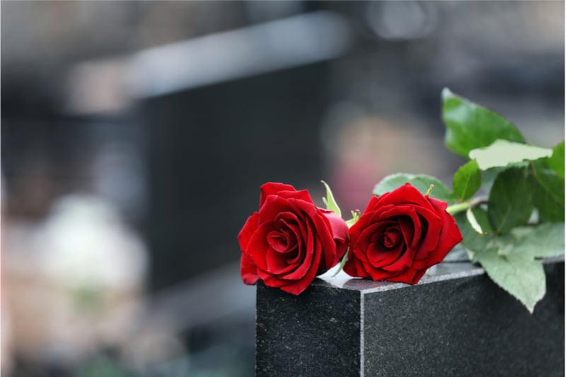 Two red roses on a headstone in a cemetery