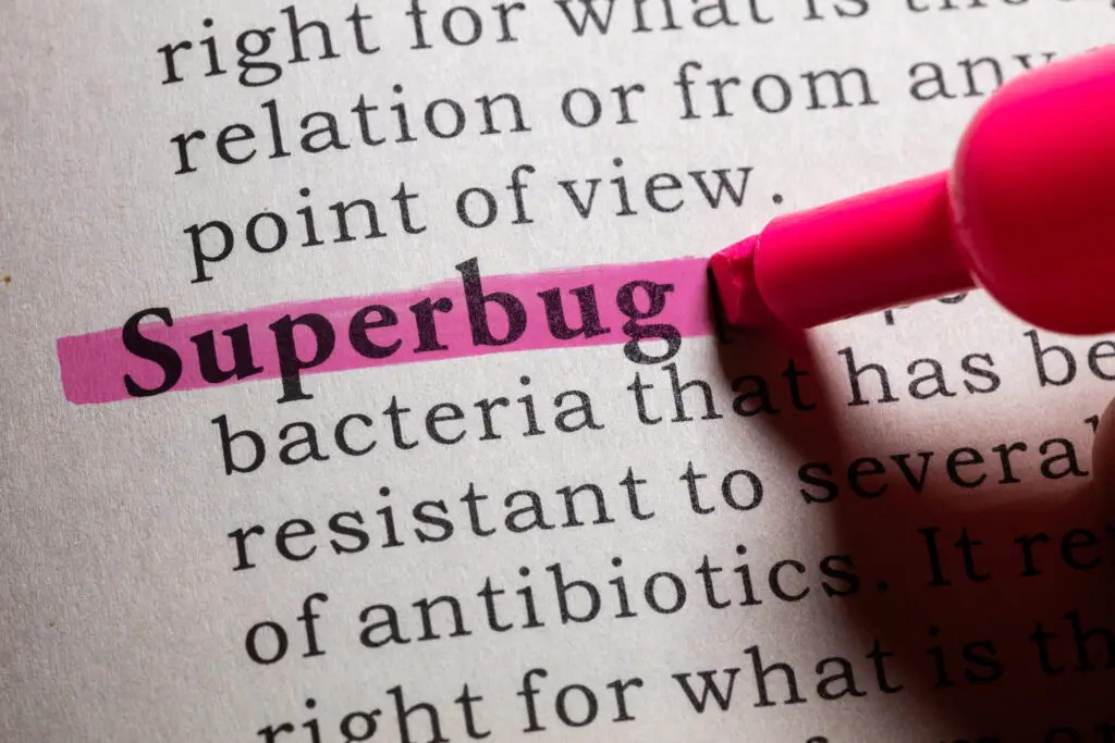 What are superbugs