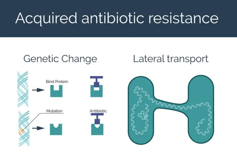 What are superbugs